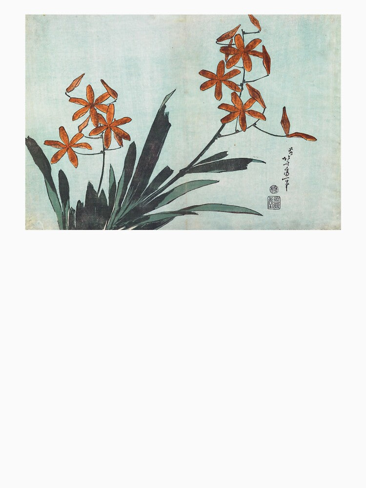 Blackberry Lily by Craphe