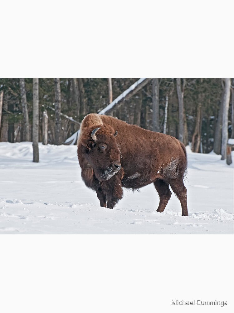 Bison In Snow by Michael Cummings T-Shirts, Hoodie, Sweatshirt | BlankRebels.com (Image 3)