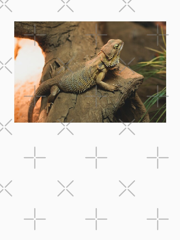 Bearded Dragon Photo by TheAnimalZ00 T-Shirts, Hoodie, Sweatshirt | BlankRebels.com (Image 3)