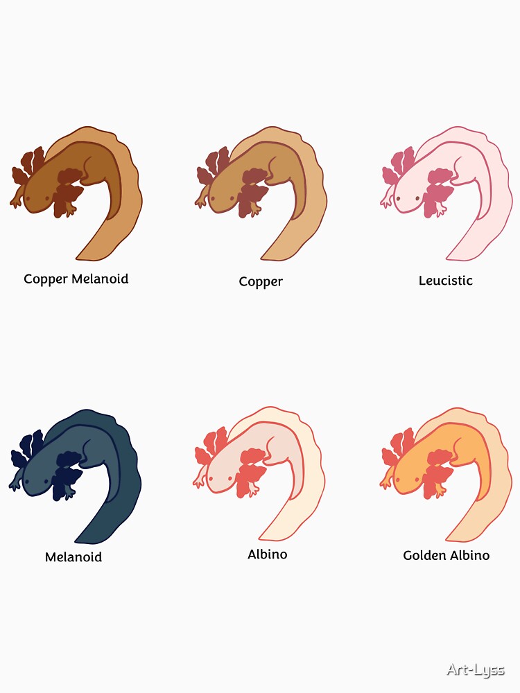 Axolotl Varieties by Art-Lyss T-Shirts, Hoodie, Sweatshirt | BlankRebels.com (Image 3)