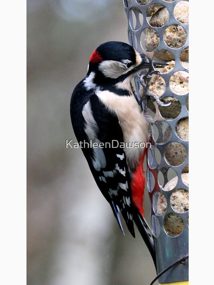 woodpecker by KathleenDawson T-Shirts, Hoodie, Sweatshirt | BlankRebels.com (Image 3)