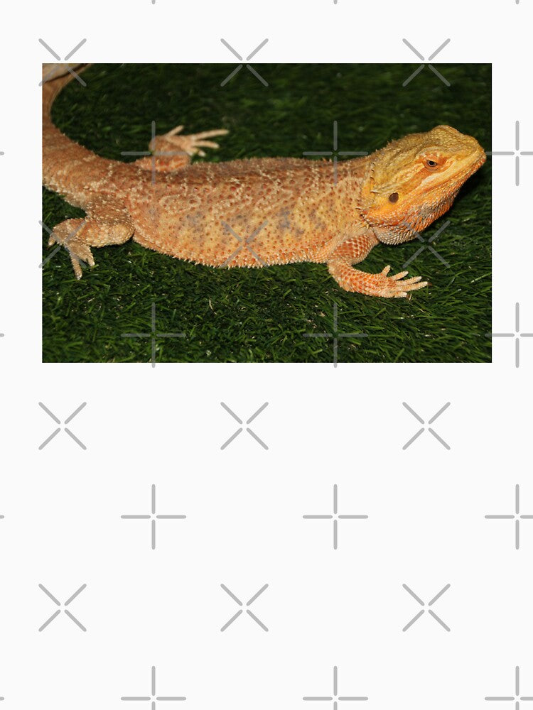 Bearded Dragon by TheAnimalZ00 T-Shirts, Hoodie, Sweatshirt | BlankRebels.com (Image 3)