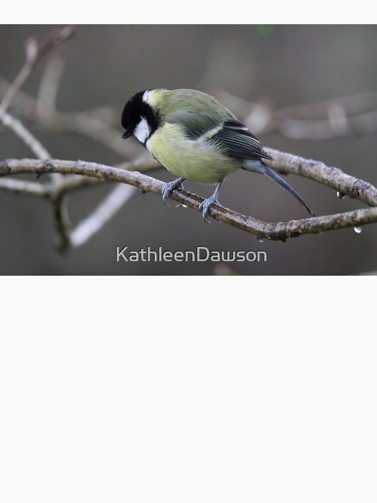 Great tit by KathleenDawson T-Shirts, Hoodie, Sweatshirt | BlankRebels.com (Image 3)
