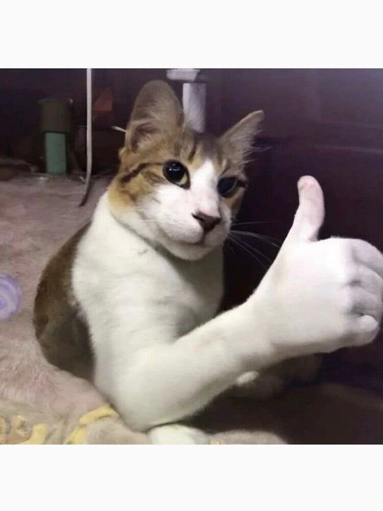 cat thumbs up by billcosbo