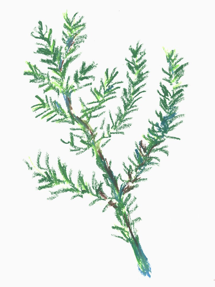 Green Rosemary by waterlet T-Shirts, Hoodie, Sweatshirt | BlankRebels.com (Image 3)
