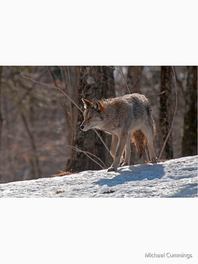 Coyote by Michael Cummings T-Shirts, Hoodie, Sweatshirt | BlankRebels.com (Image 3)