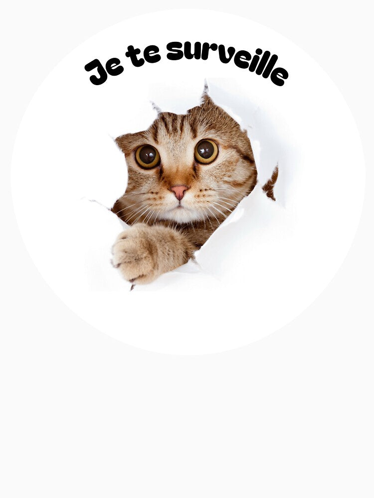 I'm watching you Funny Cat by VeloraLaz