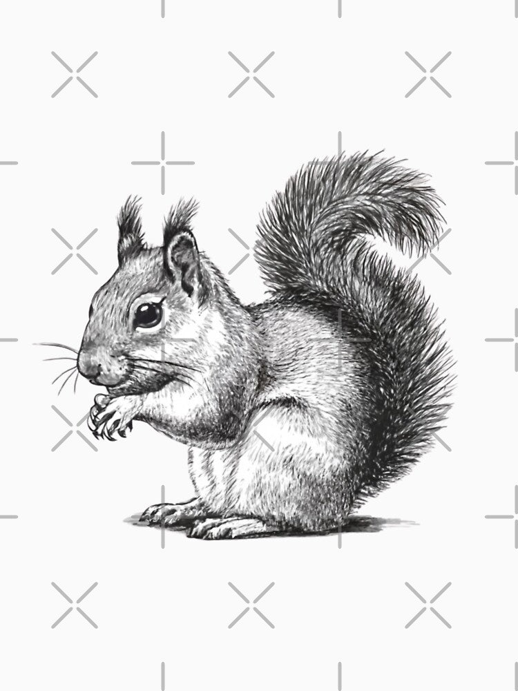Squirrel by Art-Design-EM T-Shirts, Hoodie, Sweatshirt | BlankRebels.com (Image 3)