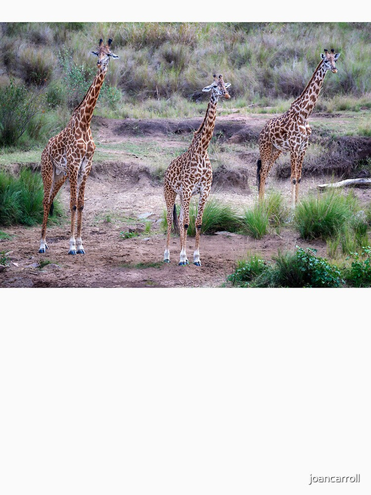 Giraffe Trio Masai Mara Kenya by PhotoArt by Joan Carroll T-Shirts, Hoodie, Sweatshirt | BlankRebels.com (Image 3)