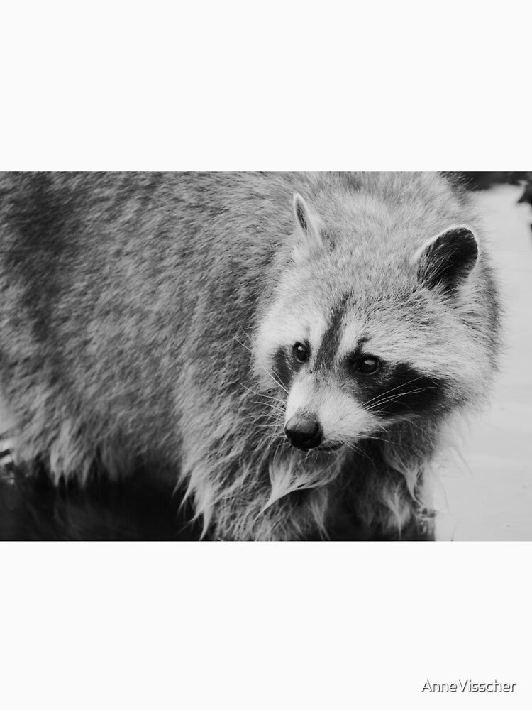 Trash panda by AnneVisscher T-Shirts, Hoodie, Sweatshirt | BlankRebels.com (Image 3)