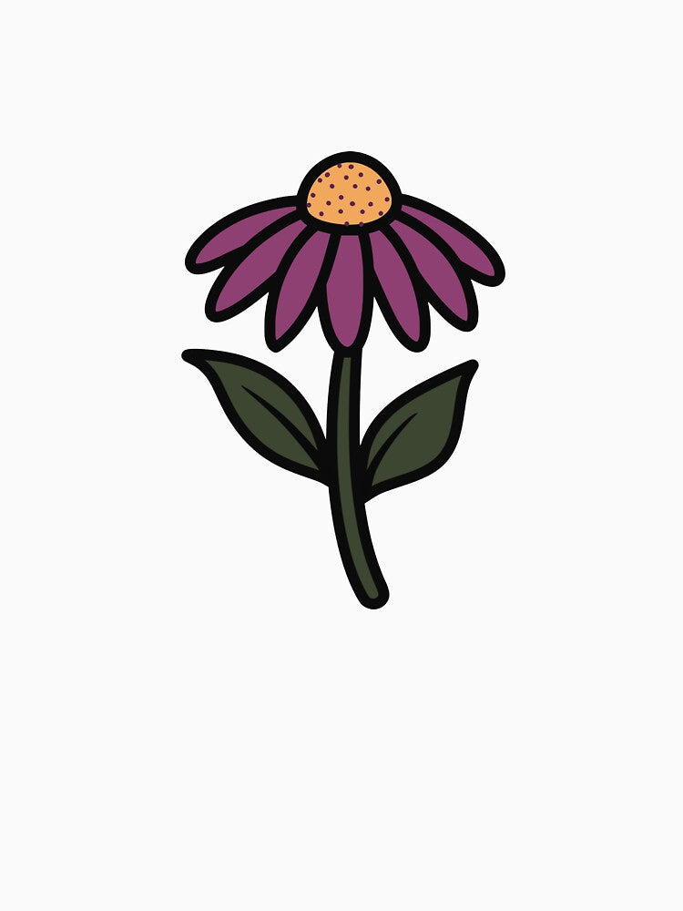 Cute Echinacea Flower Illustration by SunCraftStudio
