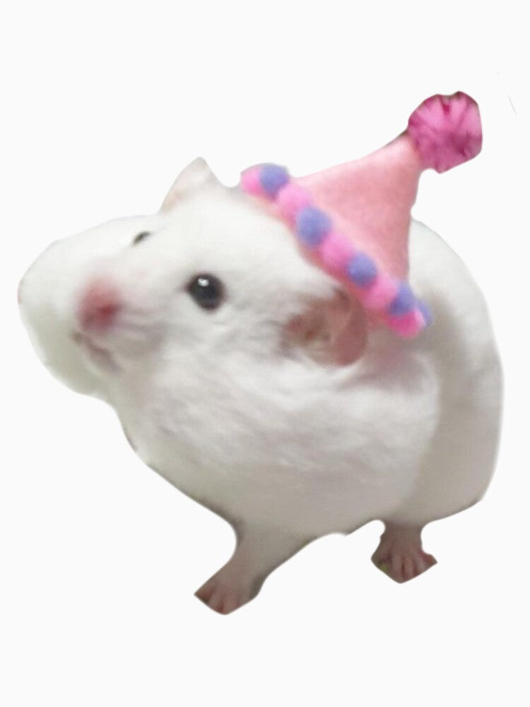 happy birthday hamster cute funny sticker by tree-huggrs