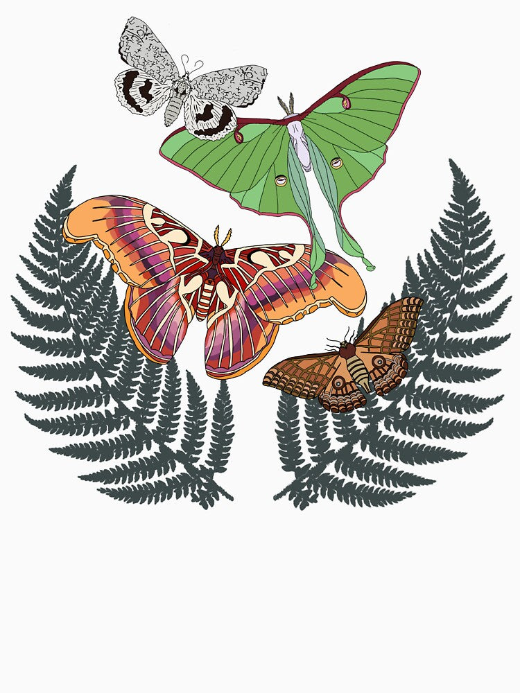 Nocturnal Wings  in ferns– Atlas, Luna, Rothschildia & Black Arches Moths by okayamberart