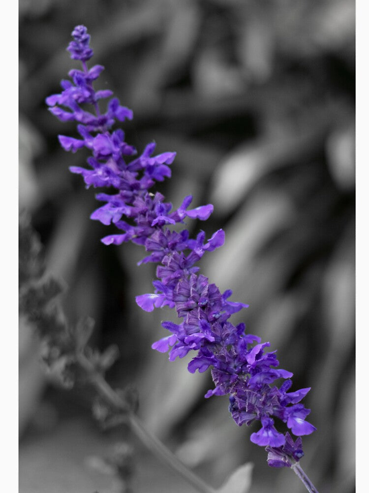 Purple Victoria Blue Flower by Boujiee-Boutique T-Shirts, Hoodie, Sweatshirt | BlankRebels.com (Image 2)