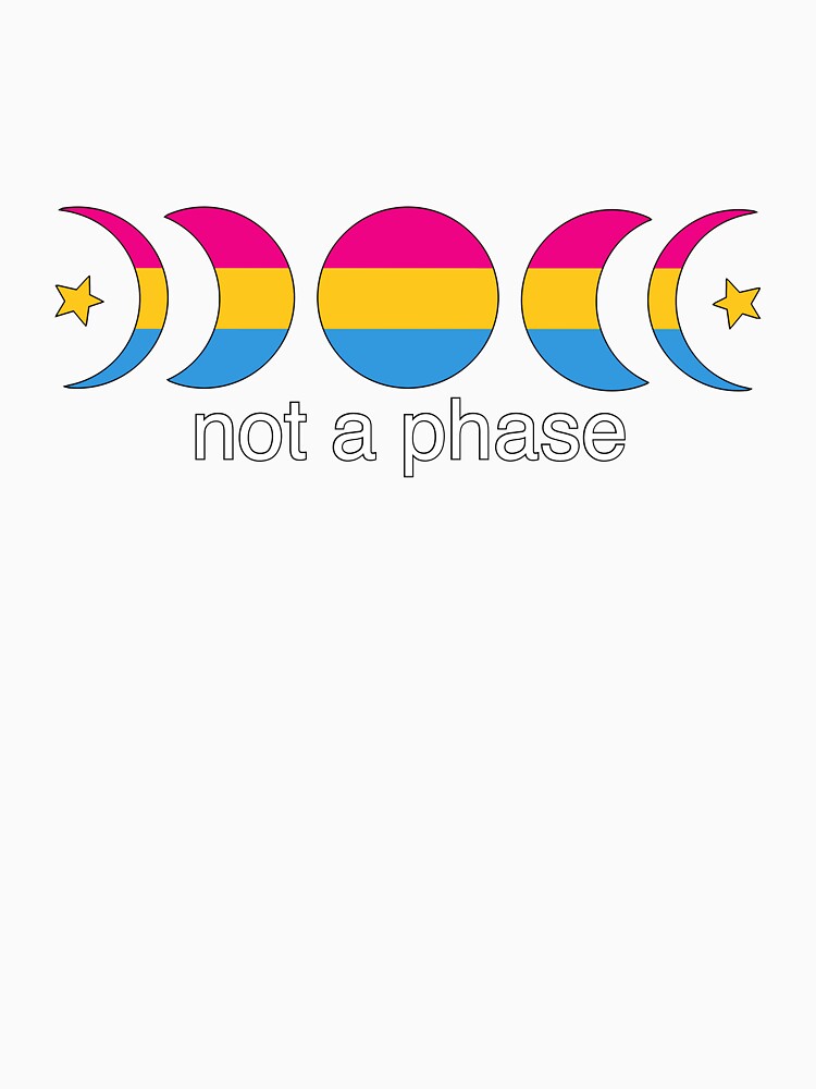 Not a phase (pan) by Doodlesbykat T-Shirts, Hoodie, Sweatshirt | BlankRebels.com (Image 3)