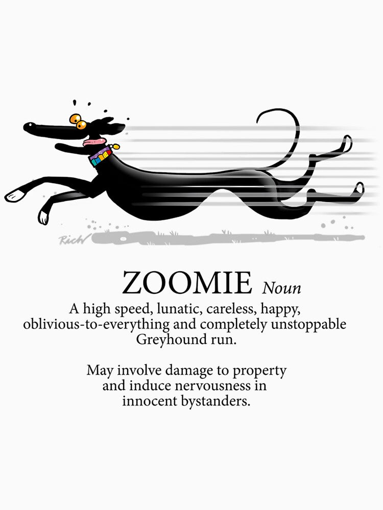 Greyhound Zoomie by Fiicha