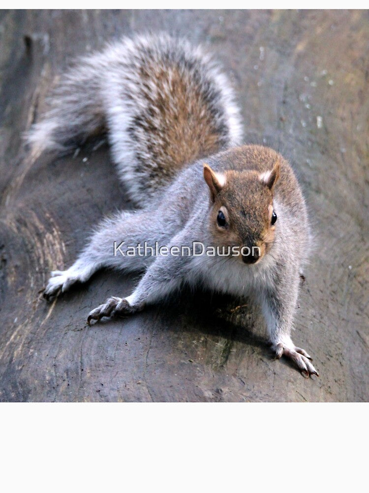 squirrel by KathleenDawson T-Shirts, Hoodie, Sweatshirt | BlankRebels.com (Image 3)
