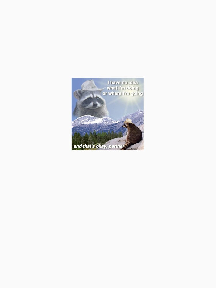 Motivational Raccoon meme by loveleia T-Shirts, Hoodie, Sweatshirt | BlankRebels.com (Image 3)