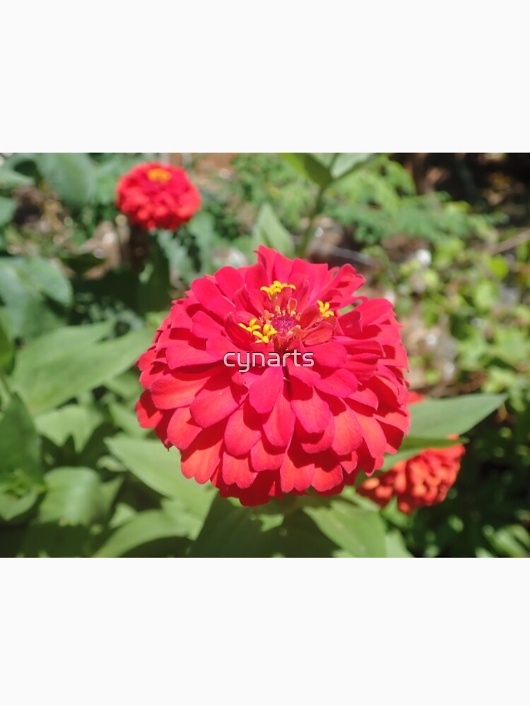 Red Flower by cynarts T-Shirts, Hoodie, Sweatshirt | BlankRebels.com (Image 2)