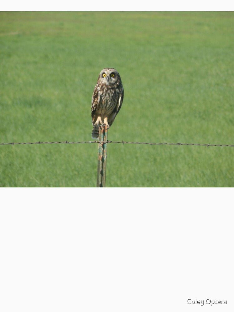 Short-eared Owl by Coley Optera T-Shirts, Hoodie, Sweatshirt | BlankRebels.com (Image 2)
