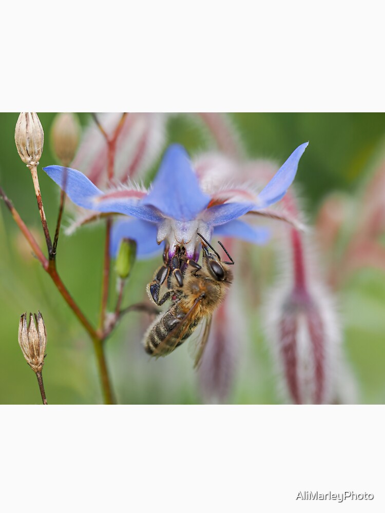 flower bee by AliMarleyPhoto T-Shirts, Hoodie, Sweatshirt | BlankRebels.com (Image 3)