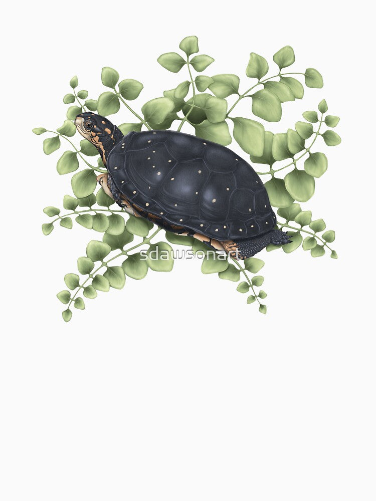 Spotted Turtle by sdawsonart