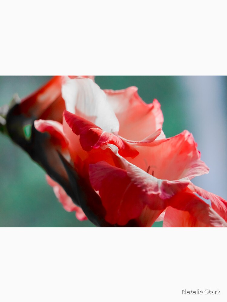 gladiolas by Natalie Stark T-Shirts, Hoodie, Sweatshirt | BlankRebels.com (Image 2)