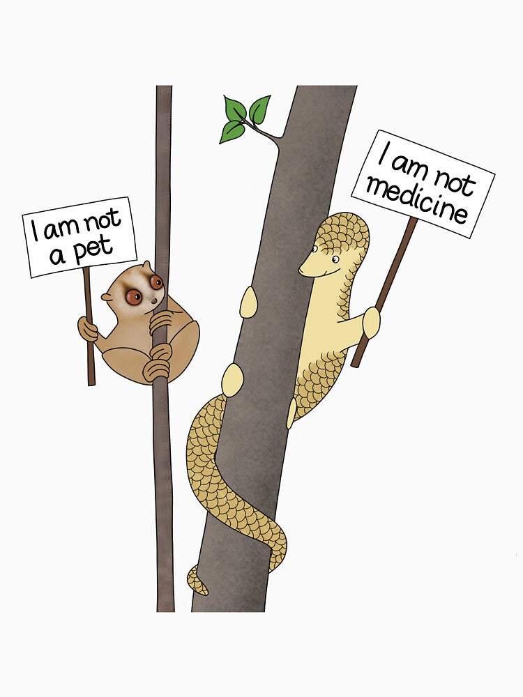 Slow loris and pangolin by RachelLShaw T-Shirts, Hoodie, Sweatshirt | BlankRebels.com (Image 3)
