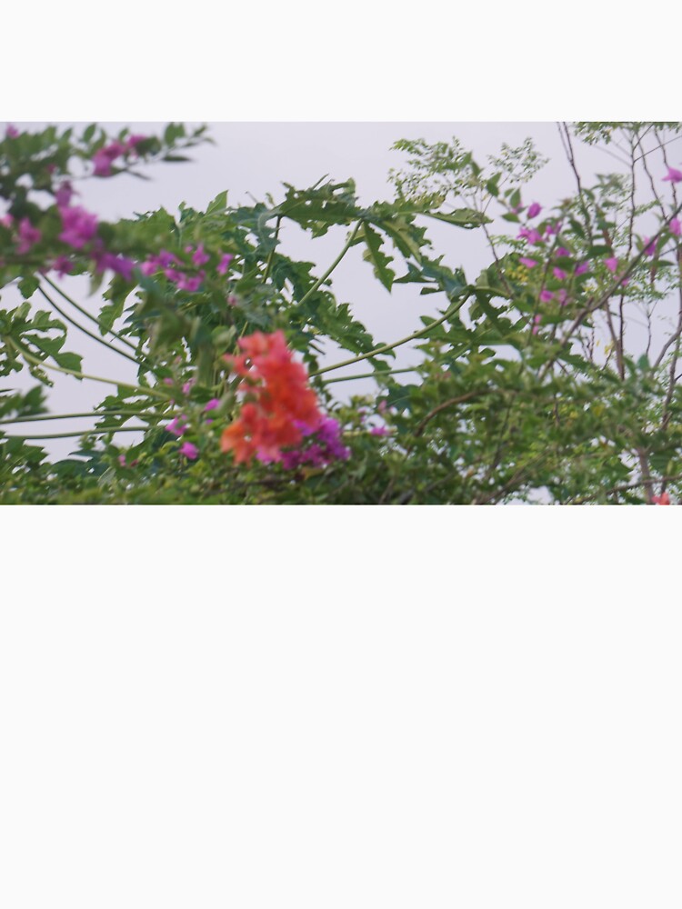 Colorful Blossoms Amidst Lush Green Foliage by wegotfreeaco