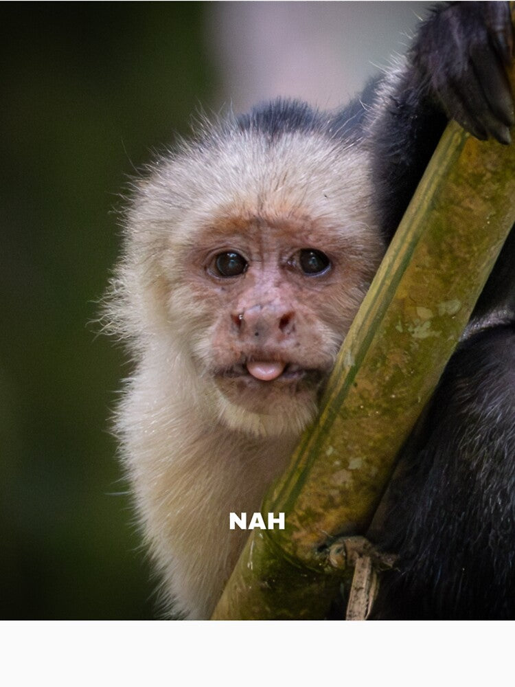 Nah Monkey Meme – Funny Sassy Reaction Animal by WildFrameNature