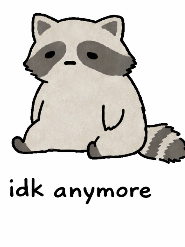 Idk Anymore Raccoon Sticker by Przemsi40 T-Shirts, Hoodie, Sweatshirt | BlankRebels.com (Image 3)