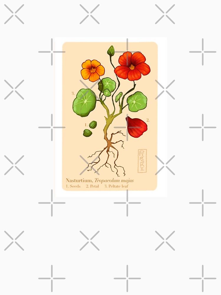 Nasturtiums by pipski T-Shirts, Hoodie, Sweatshirt | BlankRebels.com (Image 3)