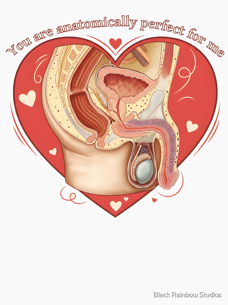 Anatomically Perfect by Black Rainbow Studios T-Shirts, Hoodie, Sweatshirt | BlankRebels.com (Image 3)