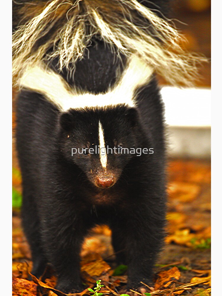 Angry skunk by purelightimages T-Shirts, Hoodie, Sweatshirt | BlankRebels.com (Image 3)