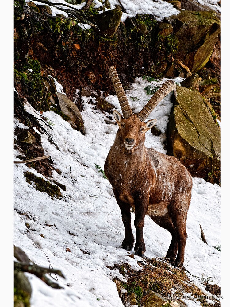 Ibex On Hill by Michael Cummings T-Shirts, Hoodie, Sweatshirt | BlankRebels.com (Image 3)