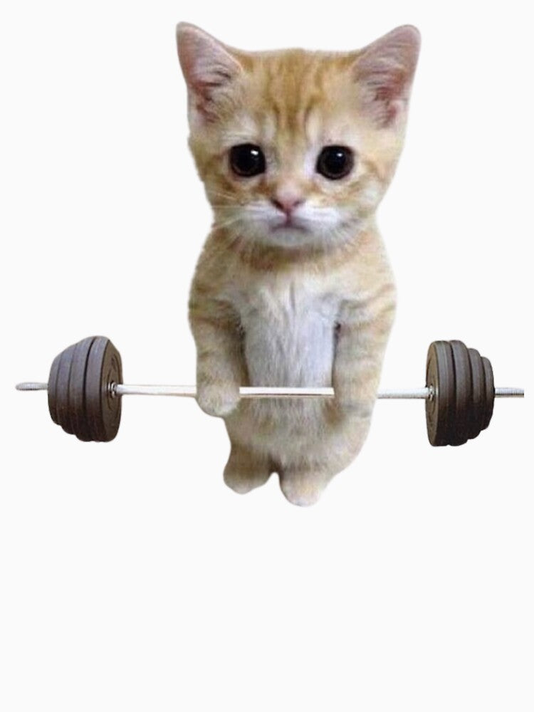 Gym Cat Deadlift 2 by T-Wearz