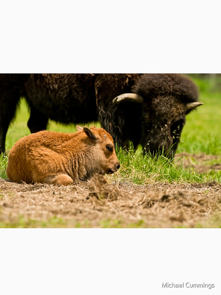 Bison And Calf by Michael Cummings T-Shirts, Hoodie, Sweatshirt | BlankRebels.com (Image 3)