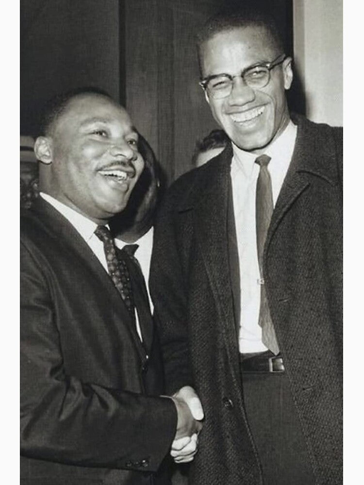 Malcolm and Martin by trsfriar