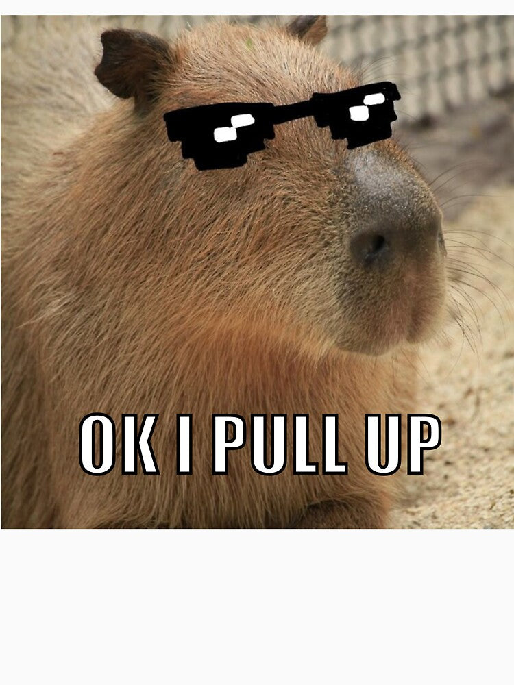 Capybara Ok I Pull Up T-Shirts, Hoodie, Sweatshirt