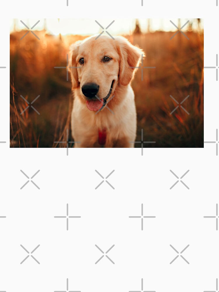 Golden Retriever Photo by TheAnimalZ00 T-Shirts, Hoodie, Sweatshirt | BlankRebels.com (Image 3)