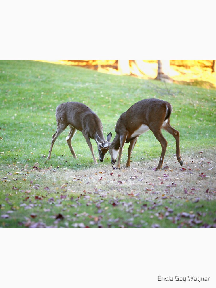 White tail Deer by Enola Gay Wagner T-Shirts, Hoodie, Sweatshirt | BlankRebels.com (Image 3)