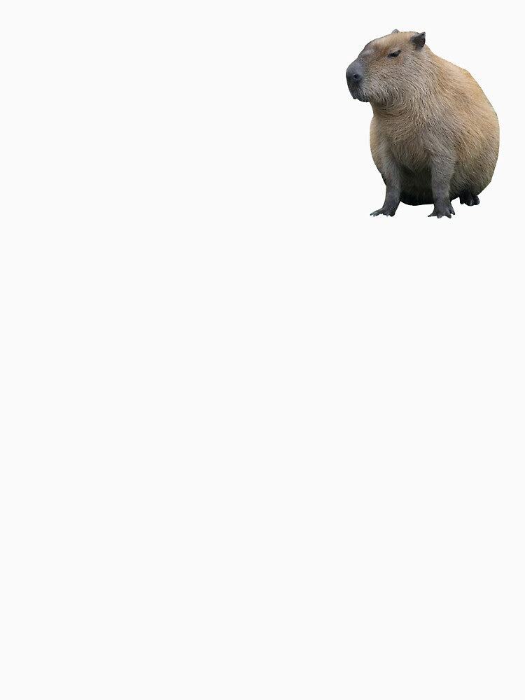 Capybara Cappy Silly by oliveeoil T-Shirts, Hoodie, Sweatshirt | BlankRebels.com (Image 3)