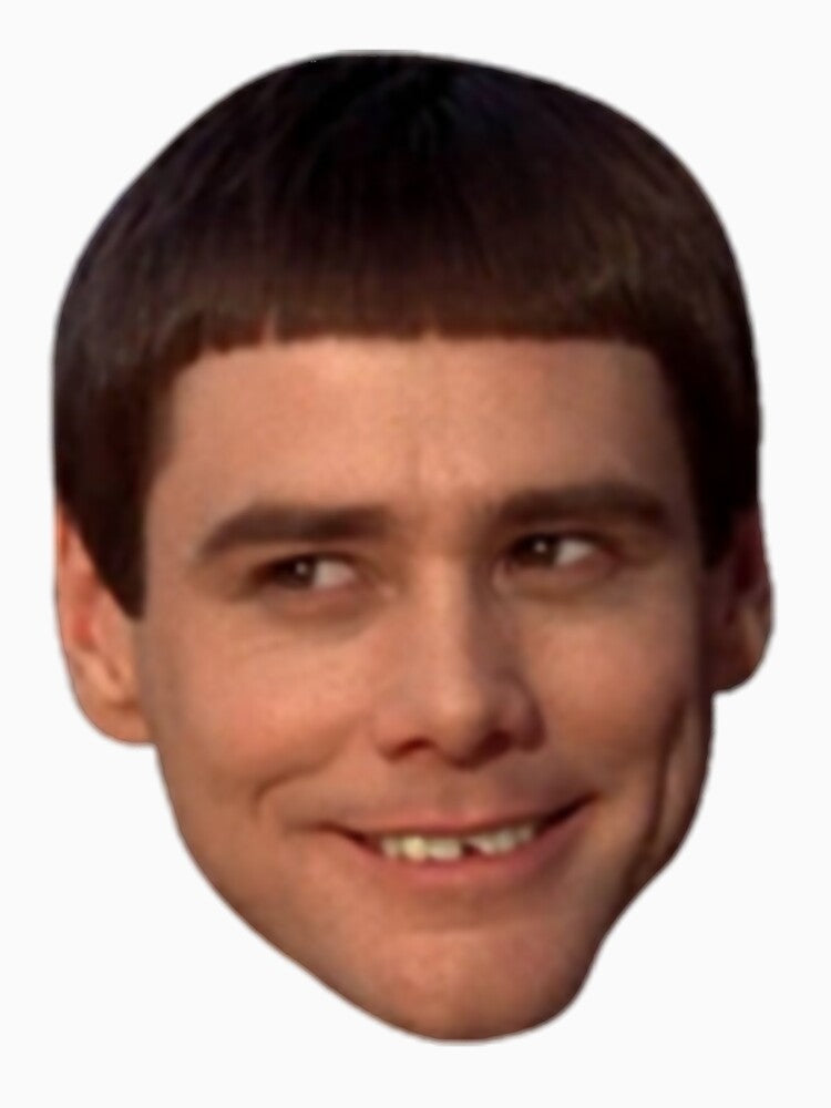 Lloyd - Head (Dumb and Dumber) by dalbirmo T-Shirts, Hoodie, Sweatshirt | BlankRebels.com (Image 3)