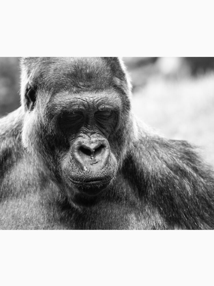 gorilla by m-conquest T-Shirts, Hoodie, Sweatshirt | BlankRebels.com (Image 2)