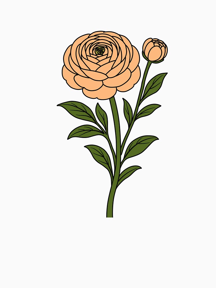 Ranunculus Flower Illustration – Elegant Botanical Art by SunCraftStudio