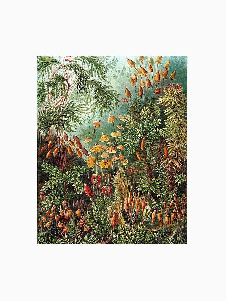 Vintage Botanical Art Print by Eva Vincent T-Shirts, Hoodie, Sweatshirt | BlankRebels.com (Image 3)