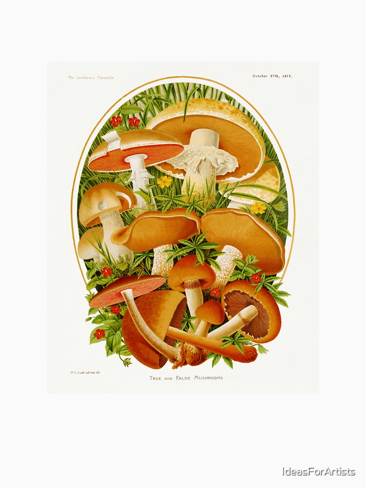 Mushroom Botanical by Inspirationmotivation T-Shirts, Hoodie, Sweatshirt | BlankRebels.com (Image 3)