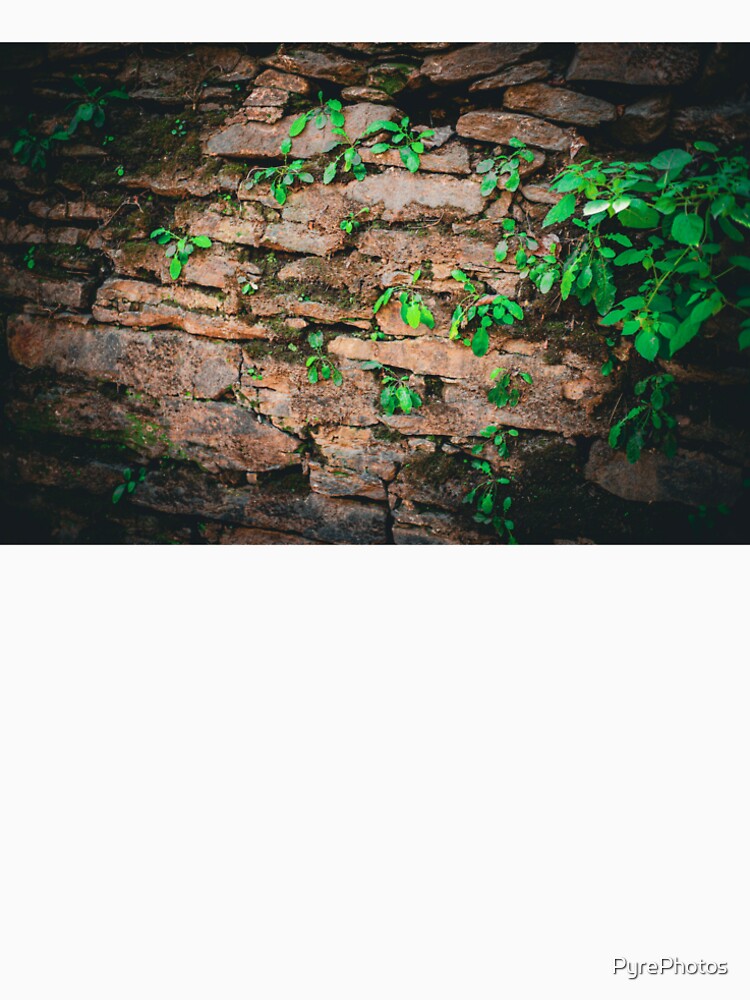 Stonewall by PyrePhotos T-Shirts, Hoodie, Sweatshirt | BlankRebels.com (Image 2)