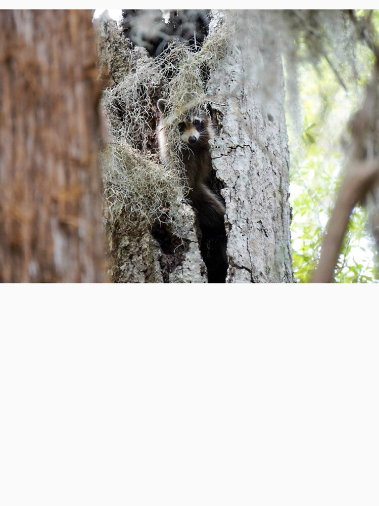 Raccoon's comfy home by RikitikiTravi T-Shirts, Hoodie, Sweatshirt | BlankRebels.com (Image 2)