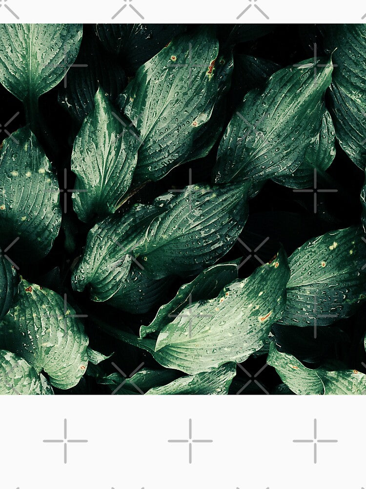 Green Leaves Photography for Home Decor by Nature-Arts T-Shirts, Hoodie, Sweatshirt | BlankRebels.com (Image 3)